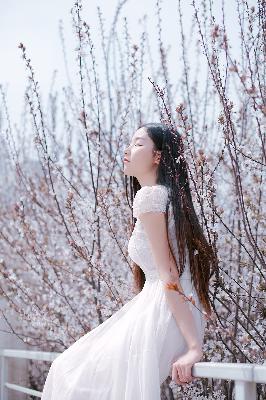 缘之空12集原版日剧免费观看