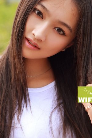 茶杯狐 CUPFOX 茶杯狐官方